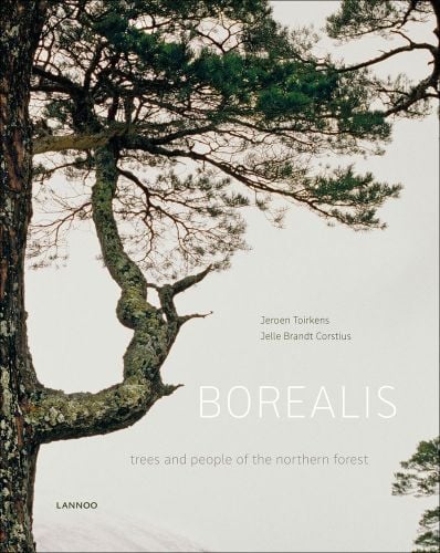 Large trunk of tree with branch with green foliage, off white cover, BOREALIS trees and people of the northern forest in white and grey font below.