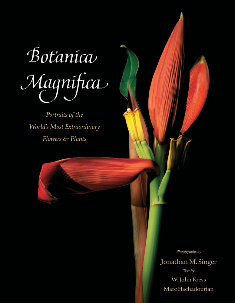 Red lily like flower, green and brown stem, on black cover, Botanica Magnifica: Portraits of the World’s Most Extraordinary Flowers and Plants in white, and cream font to top left.