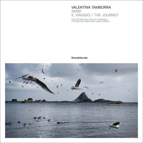 Sea birds in flight over water of Lofoten Islands, white cover, Valentina Tamborra Skrei the journey in black and grey font to top right edge.