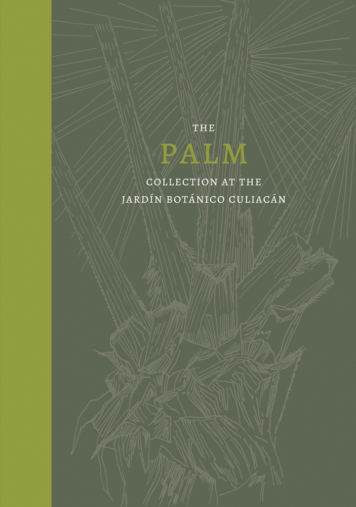 Pale green sketch of a section of a palm tree with The Palm Collection at the Jardín Botánico Culiacán in green and white by Turner Publishers