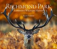 Male red deer with huge antlers standing amongst dried ferns with autumn trees out of focus, on cover of 'Richmond Park', by ACC Art Books.