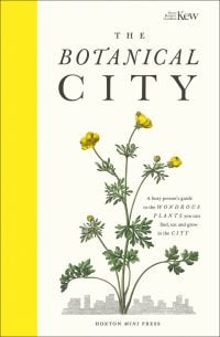 Illustration of buttercup plant with yellow flowers, on cover of 'The Botanical City, A busy person's guide to the wondrous plants to find, eat and grow in the city', by Hoxton Mini Press.