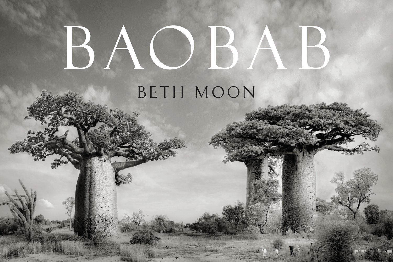 Book cover of Baobab, featuring four large African Baobab trees with barrel-like trunks. Published by Abbeville Press.