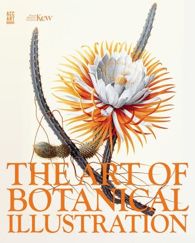Night Blooming Cactus flower with white and orange petals and green stem and orange font The Art of Botanical Illustration, ACC Art Books and RBG Kew