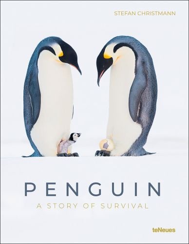 Two adult Emperor penguins with a chick and egg at their feet, PENGUIN, A STORY OF SURVIVAL, in grey, and yellow font below.