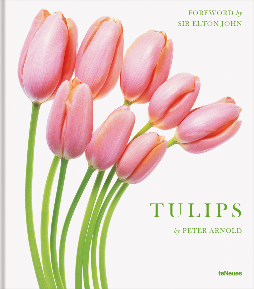 Eight pink tulips with green stems, white cover, TULIPS, in green font to lower right.