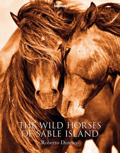 Heads of two brown wild horses lean towards each other, THE WILD HORSES OF SABLE ISLAND, in white font below.