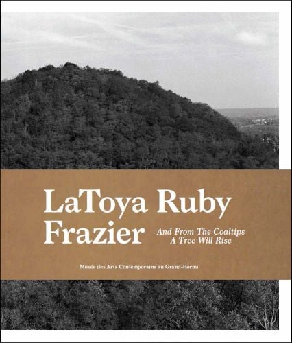 Tree covered mountain with LaToya Ruby Frazier in white font on beige banner