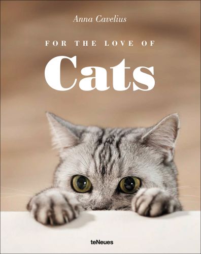 Light grey and black shorthair cat, peering over table ledge, 'FOR TH LOVE OF Cats', in white font above, by teNeues Books.