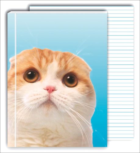 Blue Ombre cover with a cute photograph of the head of a ginger and white cat with its ears back