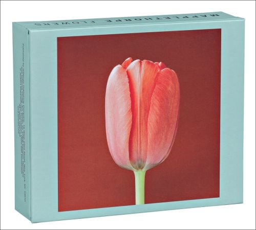 Robert Mapplethorpe's photograph of pink tulip, on notecard box, by teNeues stationery.