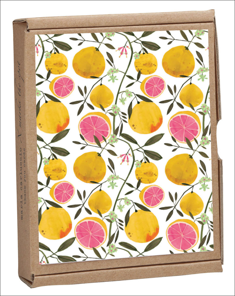 Shelf Life QuickNotes