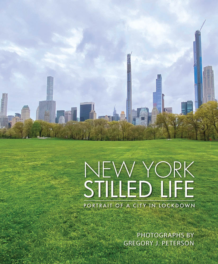New York skyline of skyscrapers, grass area below, NEW YORK STILLED LIFE in white font below