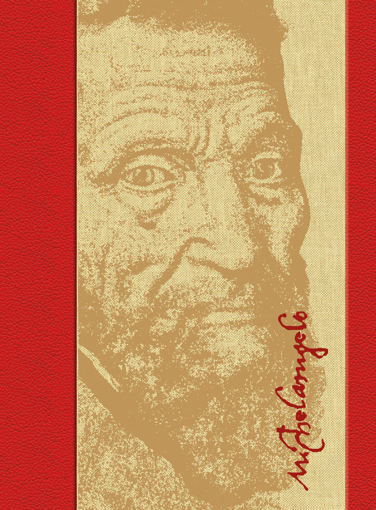 Beige and brown patterned portrait of Michelangelo with Michelangelo in red hand written font with red borders to left and right edges