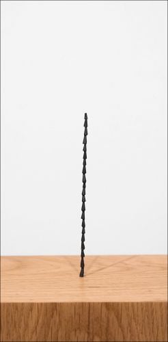 Shilpa Gupta: Sun at Night