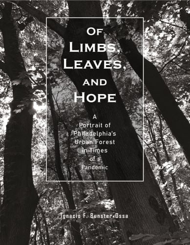 Of Limbs, Leaves, and Hope