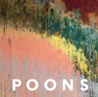 Book cover of Larry Poons, with an abstract oil painting 'Bordertown' 1972. Published by Abbeville Press.