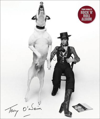 Terry O'Neill's Rock 'n' Roll Album