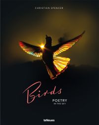 Silhouette of hummingbird, prism effect from sun shining through feathers, on dark cover, Birds Poetry in the Sky in pink and white font below