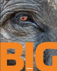 Close up of eye of elephant, with wrinkles, BIG in large orange font to bottom edge by teNeues.