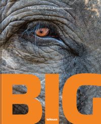 Close up of eye of elephant, with wrinkles, BIG in large orange font to bottom edge by teNeues.