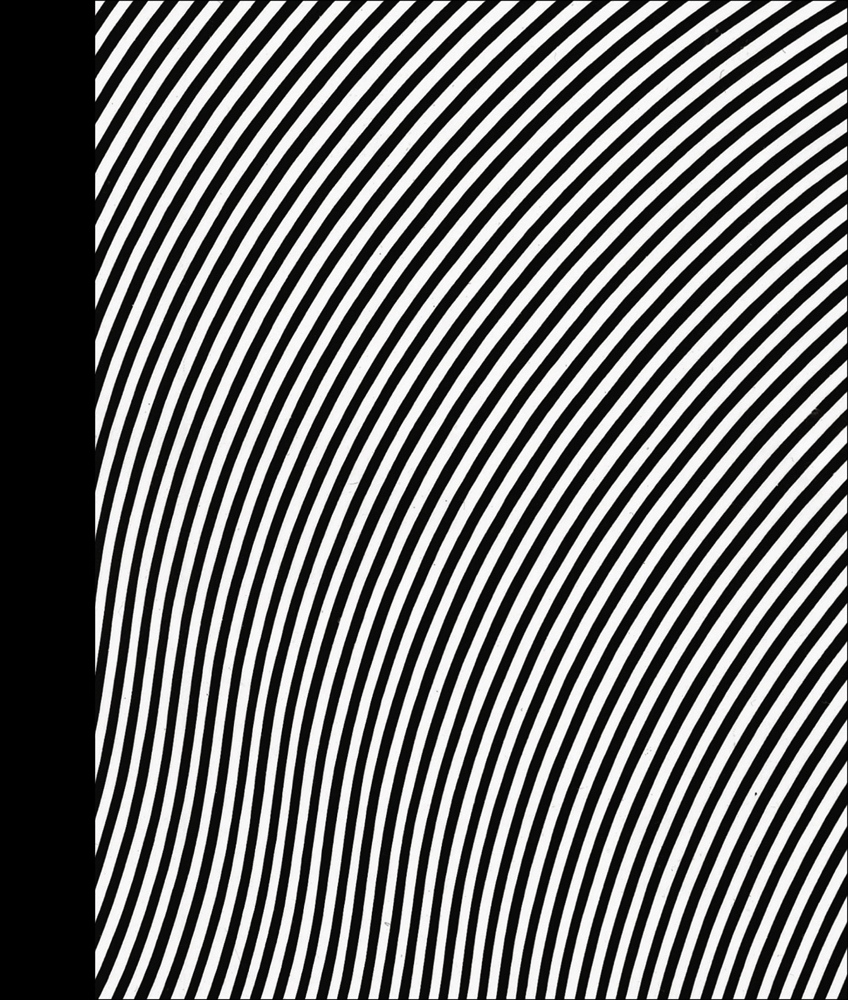 Bridget Riley Paintings 19632015 ACC Art Books UK