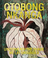 Otobong Nkanga