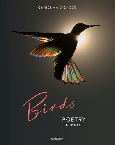 Silhouette of hummingbird with sun behind, prism colours to ends of feathers, Birds, POETRY IN THE SKY, in pink, and white font below.