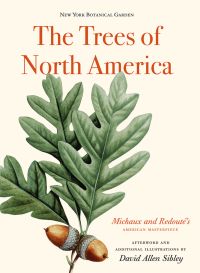 Three green oak leaves with two acorns, on cream cover of 'The Trees of North America, Michaux and Redoute's American Masterpiece', by Abbeville Press.