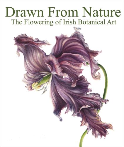 Drawn From Nature