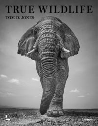 Book cover of True Wildlife, with African bush elephant walking towards camera. Published by Lannoo Publishers.
