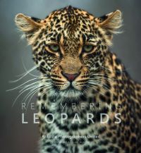 Book cover of Margot Raggett's Remembering Leopards, with a leopard. Published by Remembering Wildlife.