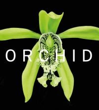 Coelogyne pandurata orchid of white, beige, and green, on black cover of 'ORCHID, Marie Selby Botanical Gardens', by Scala Arts & Heritage Publishers.