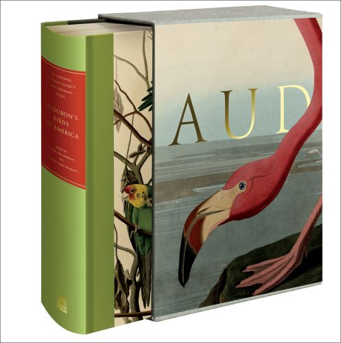 Audubon’s Birds of America