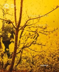 Person walking away from camera through blossom trees, (yellow filter), on cover of 'Maximilian Prüfer, Sparrow War', by Kerber.