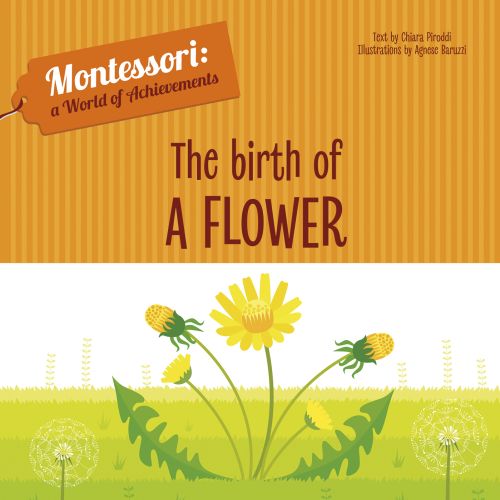 Yellow dandelion plant on green grass, on board book 'The Birth of a Flower, Montessori: A World of Achievements', by White Star.