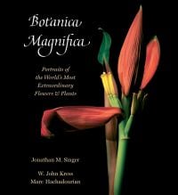 Tiger Lily with orange petals, on black cover of 'Botanica Magnifica, Portraits of the World's Most Extraordinary Flowers and Plants', by Abbeville Press.