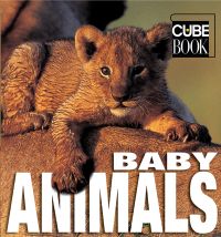 Cute lion cub resting on a lion's back, on cover of 'Baby Animals, Minicube', by White Star.
