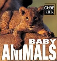 Book cover of Baby Animals, Minicube, with a cute lion cub resting on a lion's back. Published by White Star.