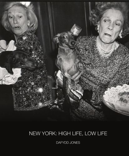 Dachshunds fighting over canapes, Barbetta, New York, 1990, with Brooke Astor, on cover of 'New York, High Life, Low Life', by ACC Art Books.