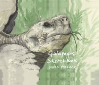 Watercolour of head of large tortoise, on landscape cover of 'A Galápagos Sketchbook' by Pallas Athene.