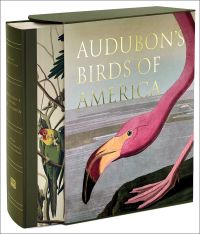 Painting of head and foot of pink flamingo, on luxury slip cased edition of 'Audubon’s Birds of America, Baby Elephant Folio', by Abbeville Press.