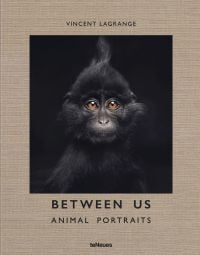 Book cover of Vincent Lagrange's photography book Between Us: Animal Portraits, features a little black crested mangabey monkey. Published by teNeues Books.