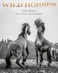 Two horses rearing up in the mud while facing each other, on cover of 'Wild Horses', by ACC Art Books.