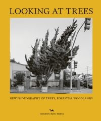 Book cover of Sophie Howarth's Looking at Trees, with a large conifer tree in residential garden, leaning over towards sidewalk. Published by Hoxton Mini Press.