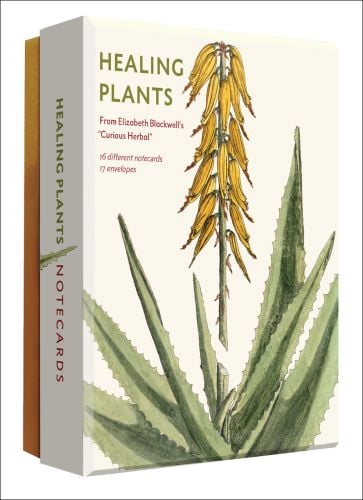 Notecard box of Healing Plants Detailed Notecard Set, featuring a yellow Aloe succotrina, from Elizabeth Blackwell's "Curious Herbal"'. Published by Abbeville Press.