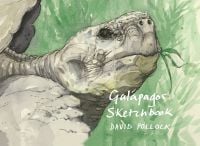 Watercolour of head of large tortoise, on landscape cover of 'A Galápagos Sketchbook' by Pallas Athene.