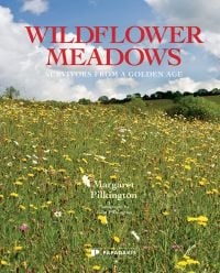 Book cover of Margaret Pilkington's Wildflower Meadows: Survivors From a Golden Age, with a grass meadow with yellow flowers. Published by Papadakis.