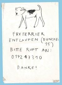 Book cover of Please Look in the Basement, with a sketch of a fox terrier dog. Published by Hopper&Fuchs.
