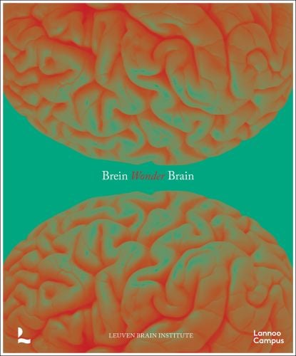 Wonder Brain